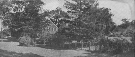 The Martin Gay house and its side yard. (See the portico at the far right of the photograph.)