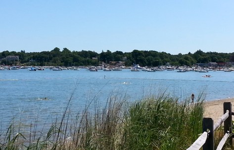 View of the southern end of Hingham Harbor from Bathing Beach, 8/9/14